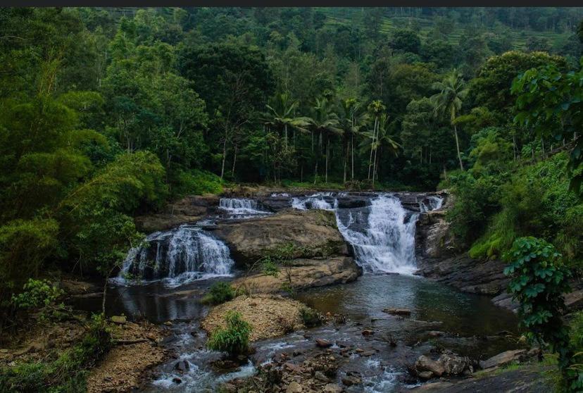 Ashvis Cottage Thekkady Buitenkant foto