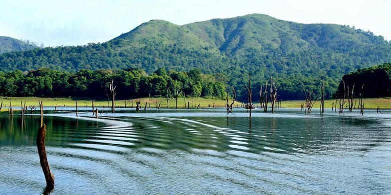 Ashvis Cottage Thekkady Buitenkant foto